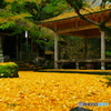 岩戸落葉神社横から