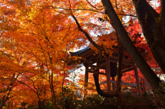 京都嵐山散策、常寂光寺弐