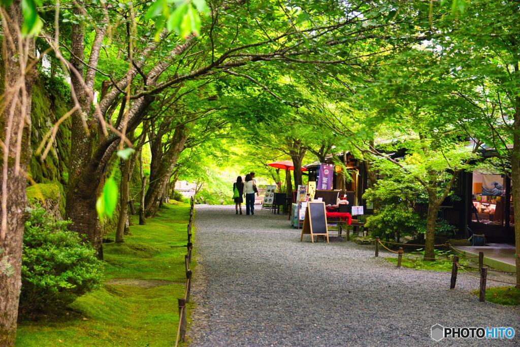 三千院参道