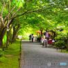 三千院参道