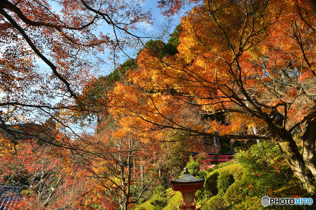 善峯寺にて1