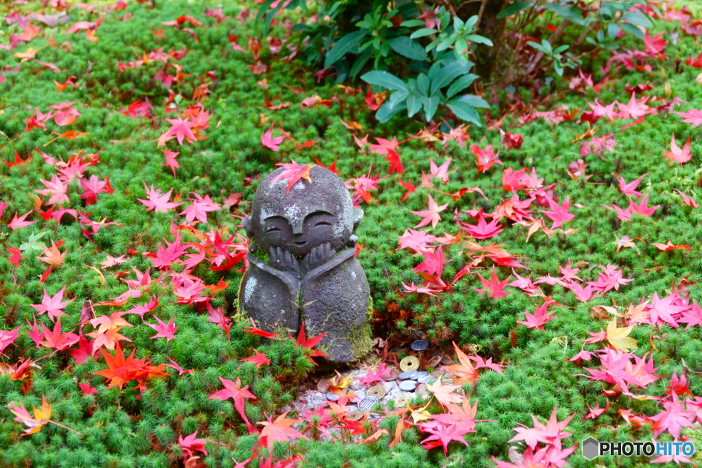 圓光寺　にこやかに