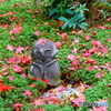 圓光寺　にこやかに