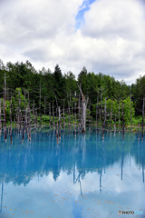 青い池1