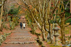 鶏足寺秋の終わり