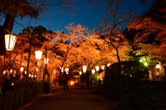 金ヶ崎宮ー夜桜