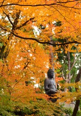 栄摂院の黄葉