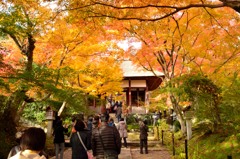 常寂光寺入場
