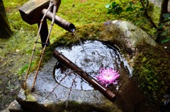 寂光院　水の調べに　耳澄ませ