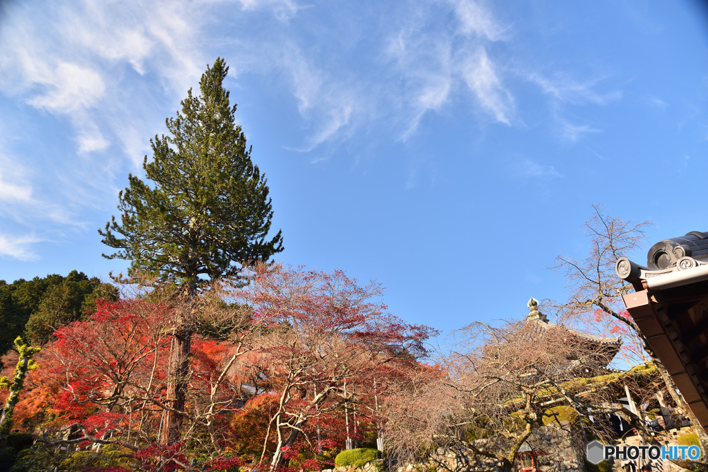 善峯寺から3