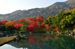 天龍寺庭園から嵐山を望む