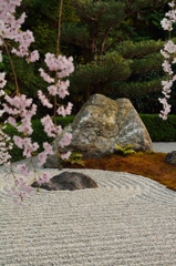 妙心寺陽の庭