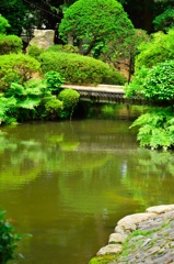 柴田氏庭園の池