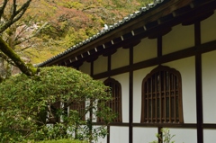 窓