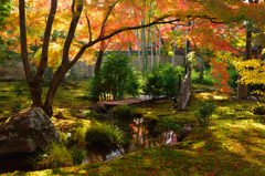 京都嵐山散策、宝厳院その五
