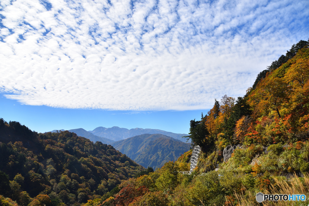 白山白川郷ホワイトロードの一角にて