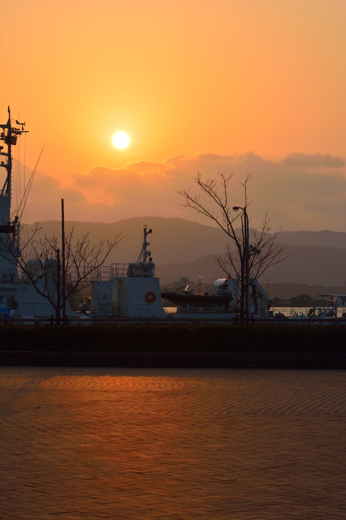 夕日に照らされて