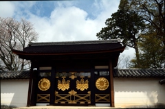 華麗な門