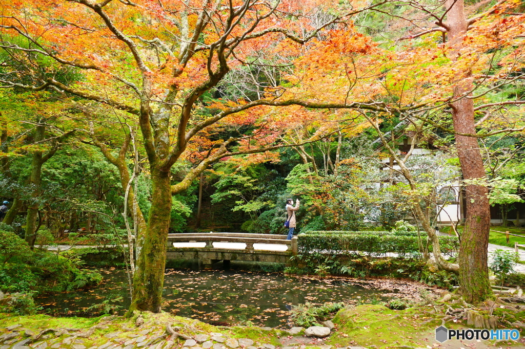 法然院2015の3