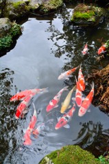 春までおあずけ