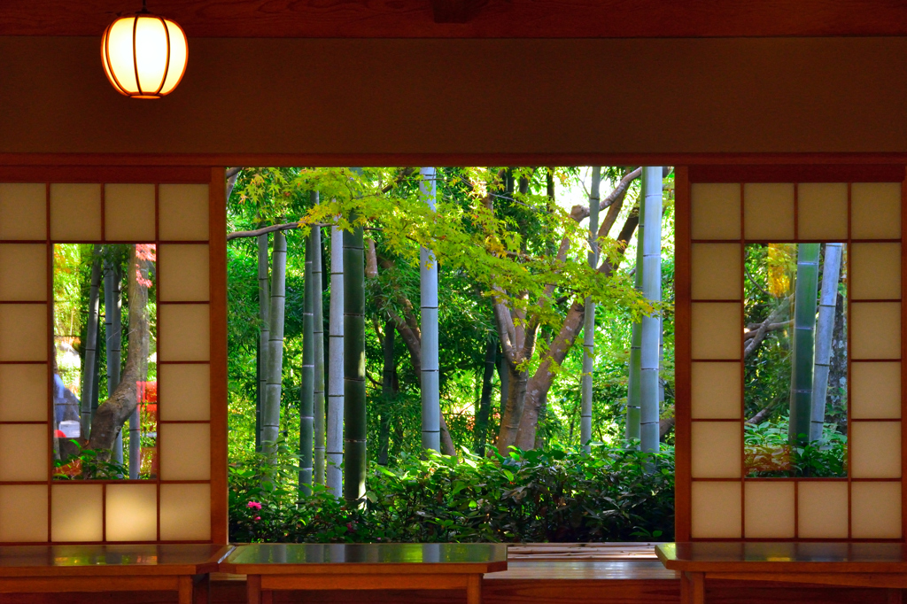 京都嵐山散策、大河内山荘お茶席から
