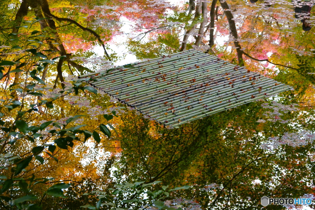 圓光寺　散筏
