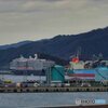 ウエステルダム寄港