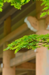 三門と緑