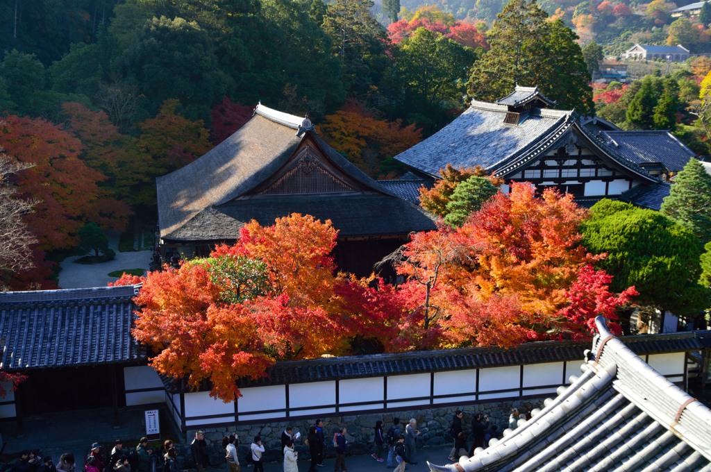 南禅寺山門から天授庵を望む