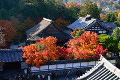 南禅寺山門から天授庵を望む