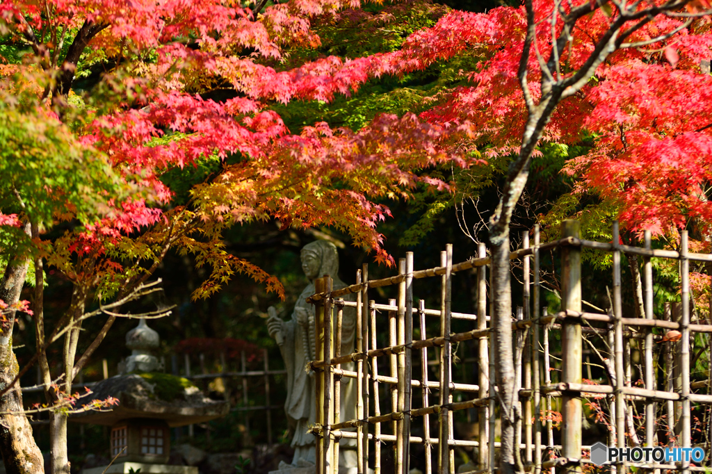 西明寺受付前は紅葉中