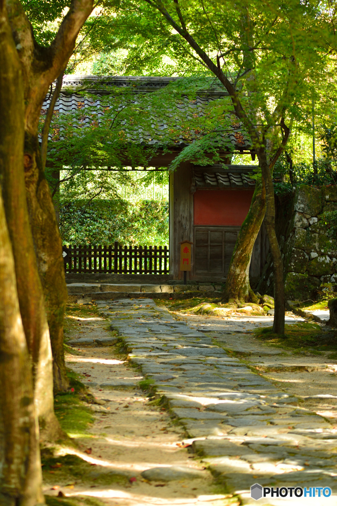 赤門