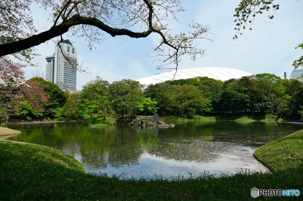 小石川後楽園の1