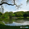 小石川後楽園の1