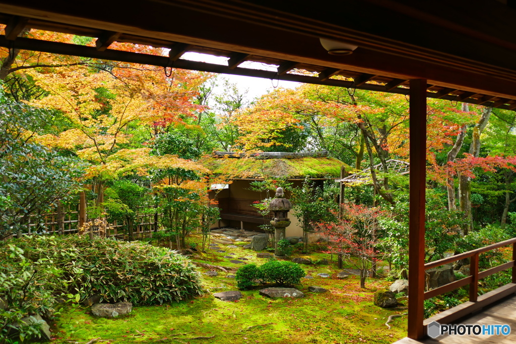 妙心寺大法院庭園15の1 By 北陸のはるさん Id 写真共有サイト Photohito