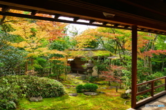 妙心寺大法院庭園2015の1