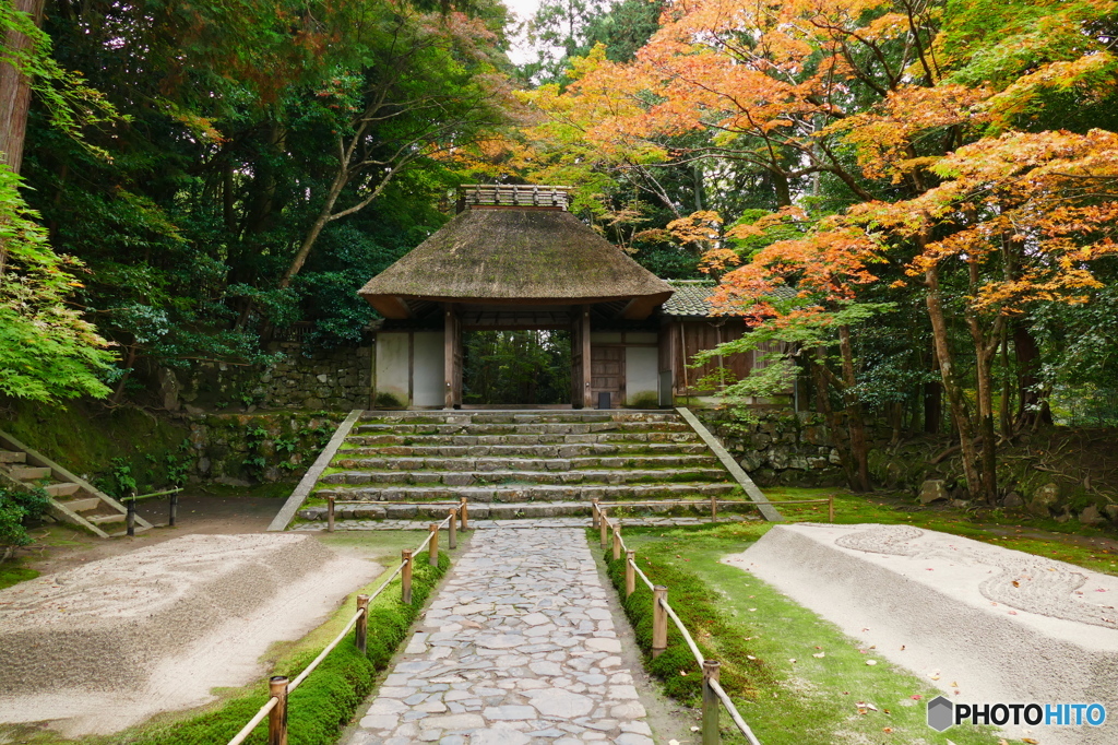 法然院2015の1