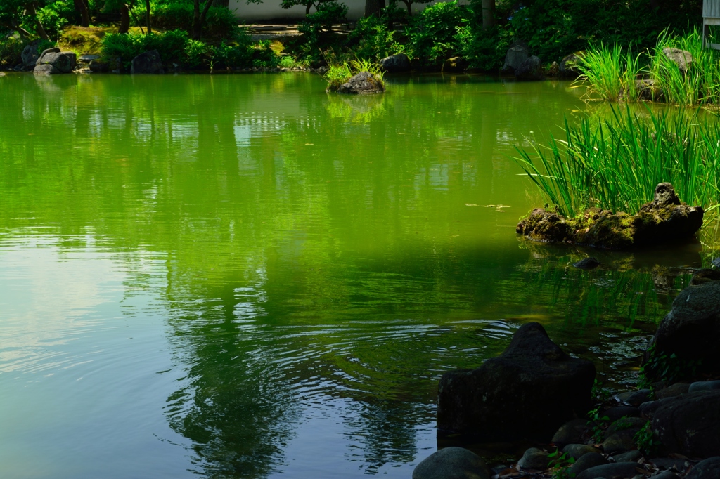 緑池