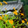 出石散策にて、壱