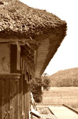 中池見湿地小屋