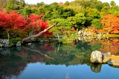 曹源池庭園を望みて（天龍寺）