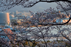 金ヶ崎宮から市内を望む