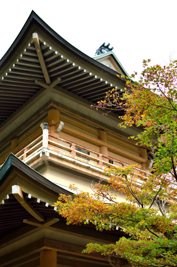 西福寺紅葉の始まり其の壱