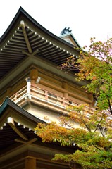 西福寺紅葉の始まり其の壱