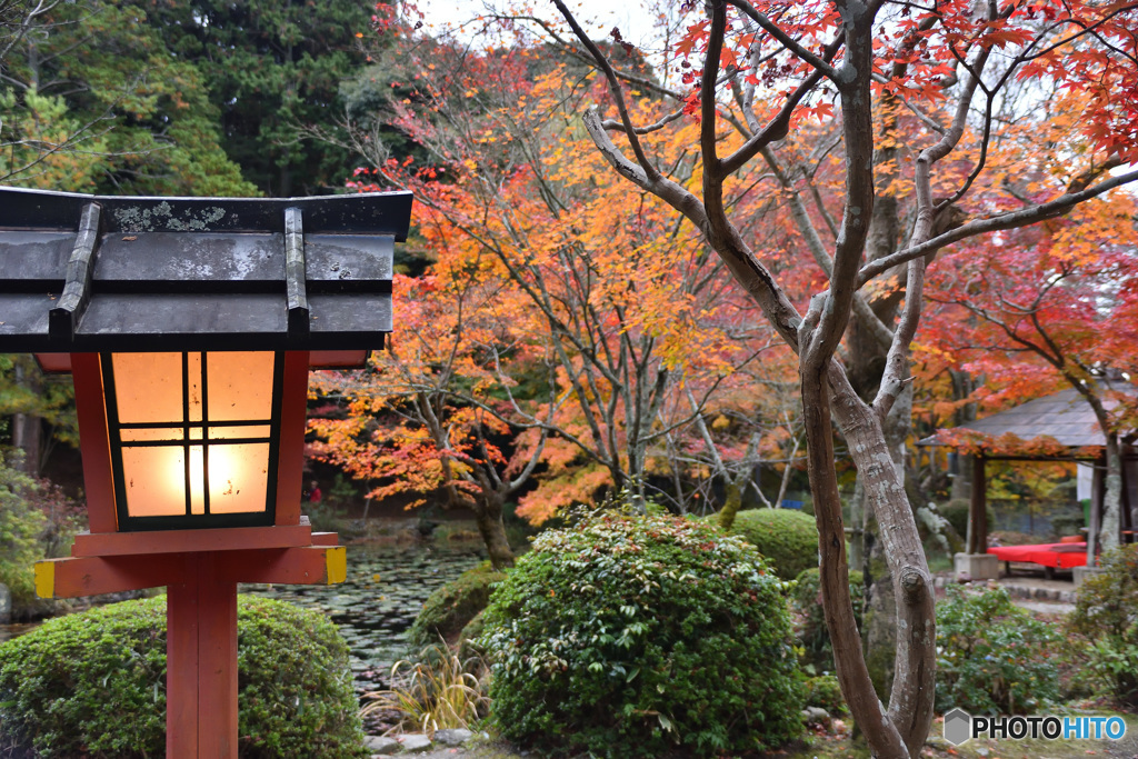 大原野神社から2