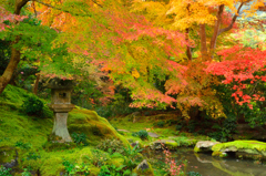 京都散策、瑠璃光院錦庭