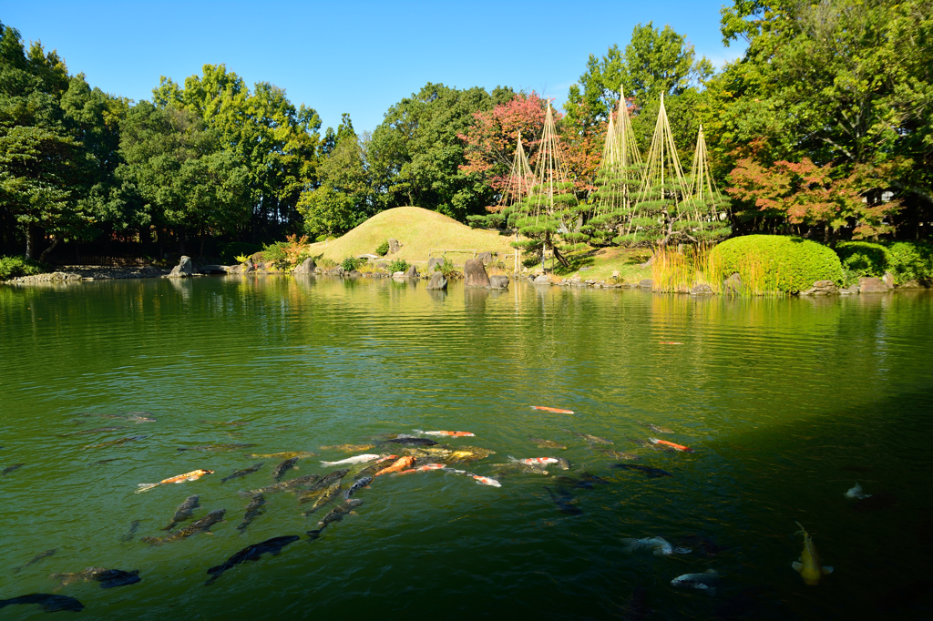 養浩館の池を眺めて