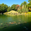 養浩館の池を眺めて