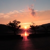 夕方の公園散歩