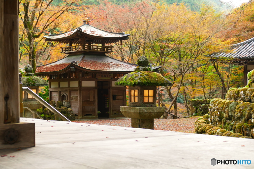 愛宕念仏寺2015の1